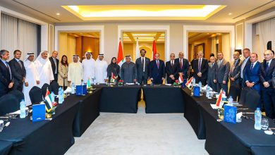 مجلس الأعمال الإماراتي المصري