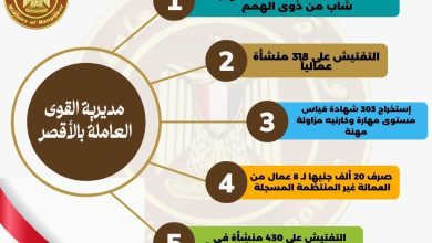 أنشطة وزارة القوى العاملة ببعض المحافظات