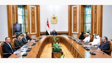 السيسي