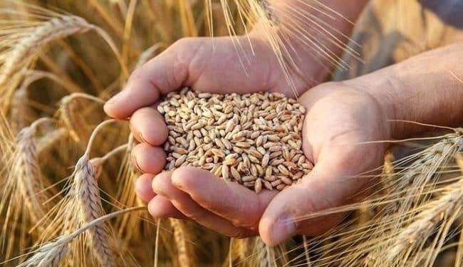 مجلس الوزراء