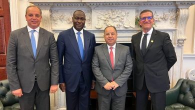 وزير المالية