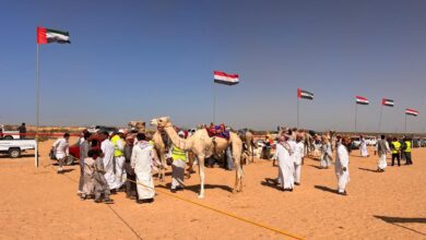 مهرجان العلمين الثالث للهجن