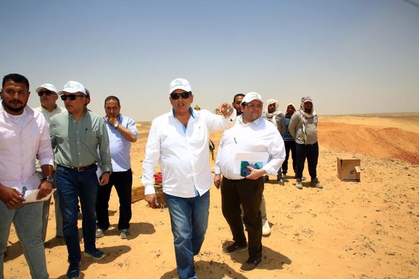 شركة تنمية الريف المصرى