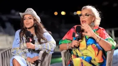 الفنانة ناهد فريد شوقى
