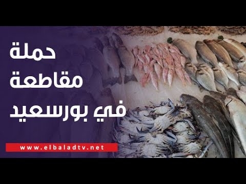 مقاطعة الأسماك بورسعيد
