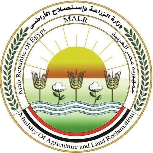 الزراعة