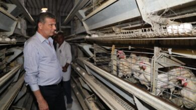 وزير الزراعة