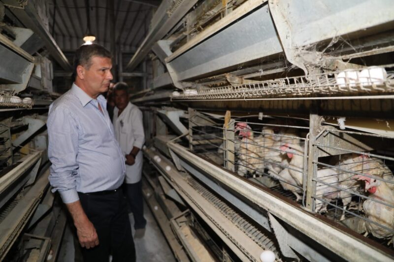 وزير الزراعة