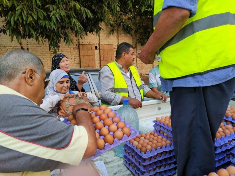 قطاع الثروة الحيوانية