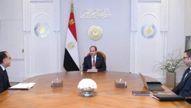 السيسي