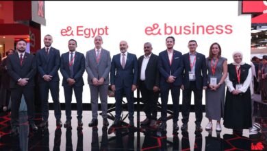 e& Business Egypt