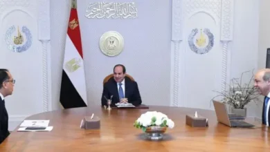 السيسي