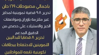 محافظ الجيزة