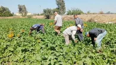 المراكز الإرشادية الزراعية