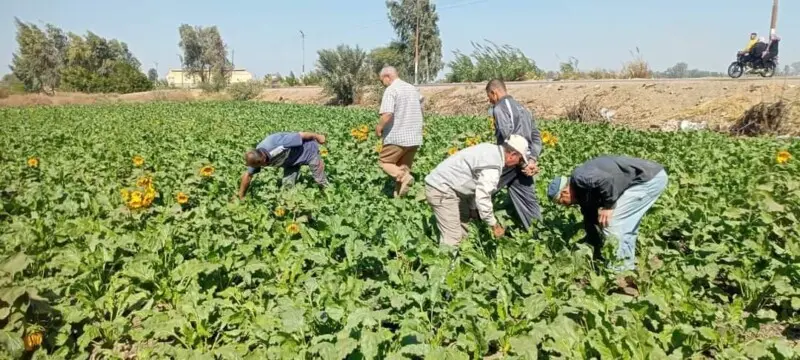 المراكز الإرشادية الزراعية