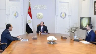 السيسي