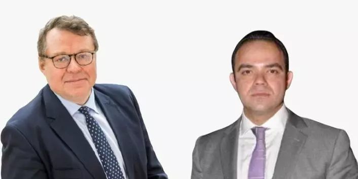 لجنة الأسواق النامية والناشئة