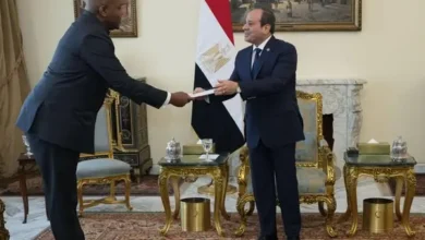 السيسي