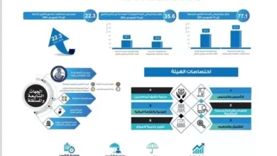 هيئة الرقابة المالية