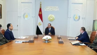 السيسي