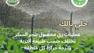 معاك في الغيط