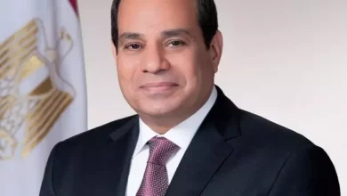 السيسي