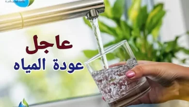 محافظة الجيزة