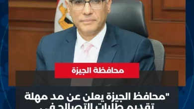 محافظ الجيزة