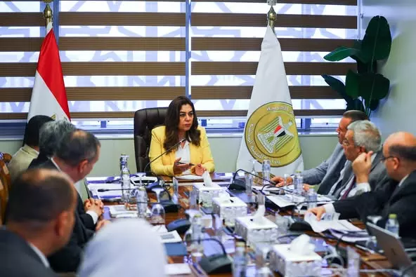 وزيرة التنمية