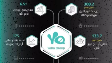 مجموعة يلا المحدودة