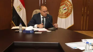وزير العمل