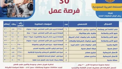 وزير العمل