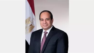 السيسي
