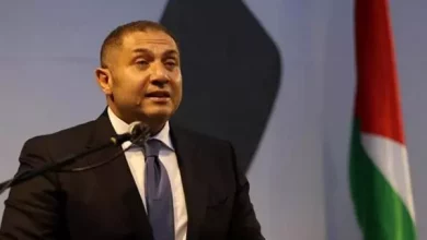 السفير المصري