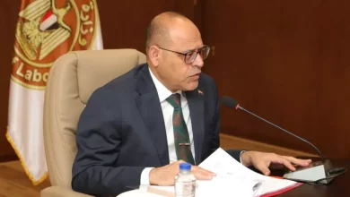 وزير العمل