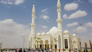 ميدار