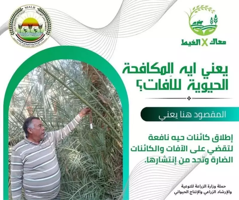  معاك في الغيط