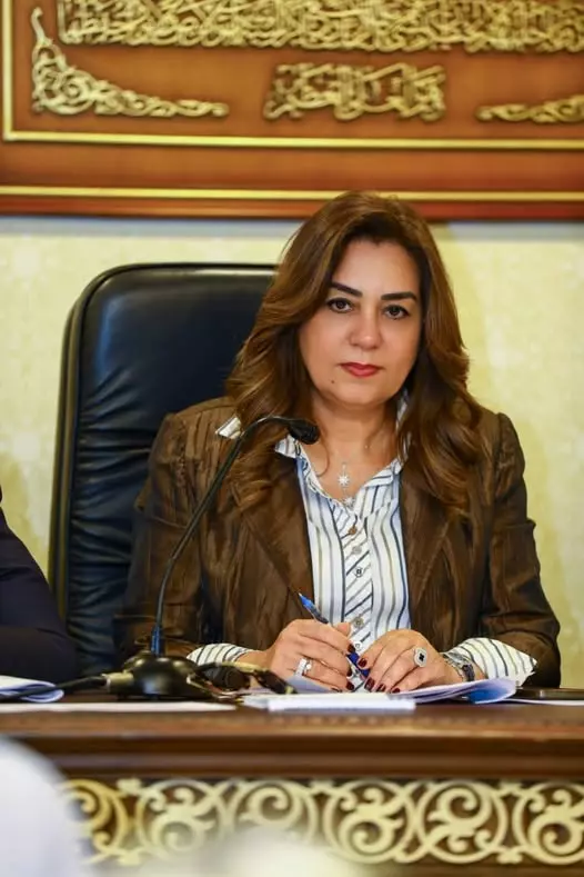 وزيرة التنمية