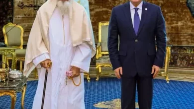 السيسي