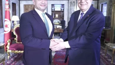 سفير مصر