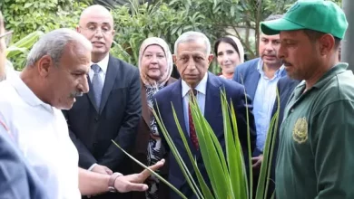 الاكاديمية العربية