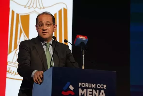 وزير المالية