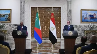 السيسي