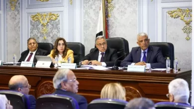 لجنة الإدارة المحلية