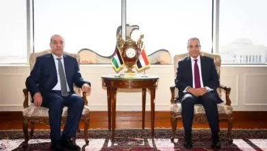 وزير‎ الخارجية