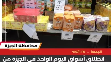 محافظ الجيزة
