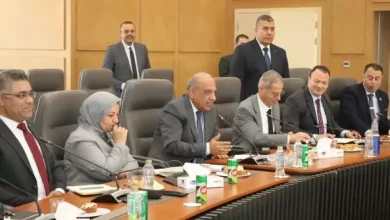 وزير الكهرباء