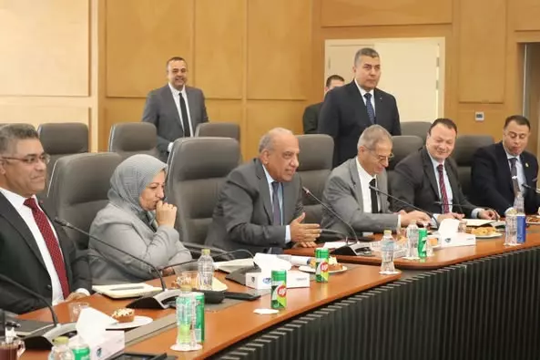 وزير الكهرباء
