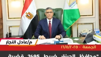 محافظ الجيزة
