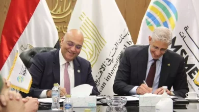 تنمية المشروعات